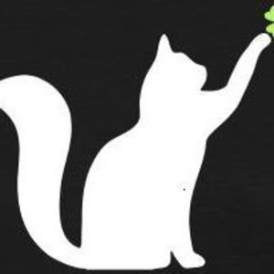 Meet your Posher, Tamara